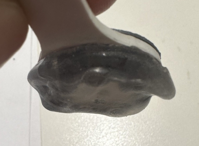 Molded device conforming to ear contours